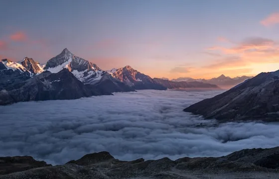 物流配送